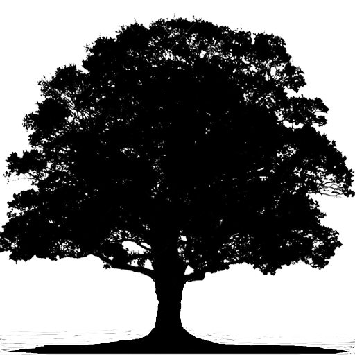 arbol 3 arbol 3